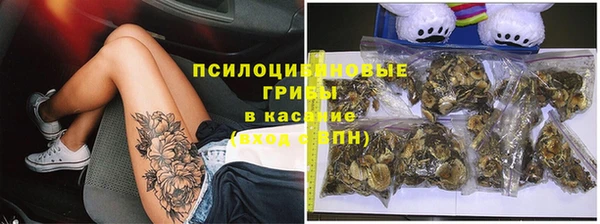 дурь Волоколамск